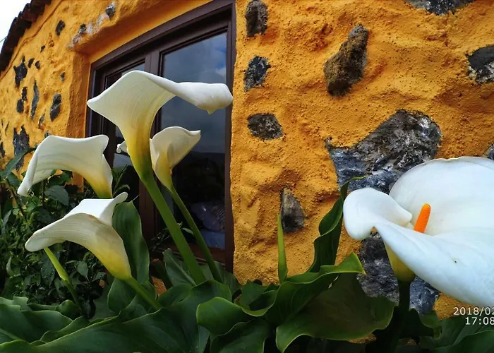 Kır Evi Country Private